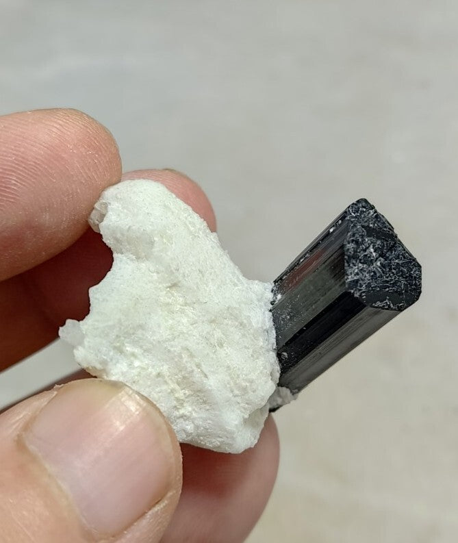 Black Tourmalines Crystal on Matrix of Albite 24 grams