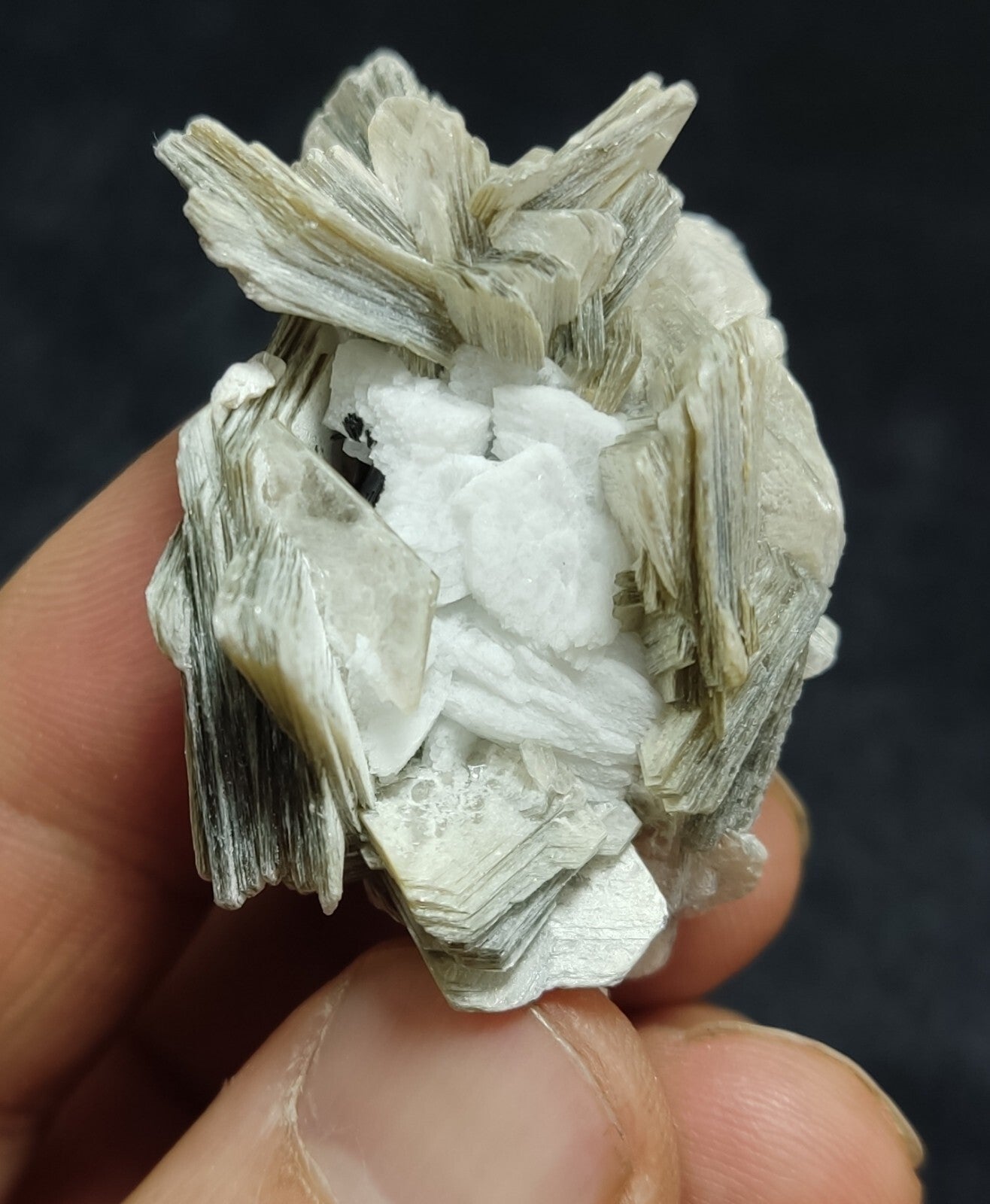 An Aesthetic specimen of muscovite with Tourmaline and albite 27 grams
