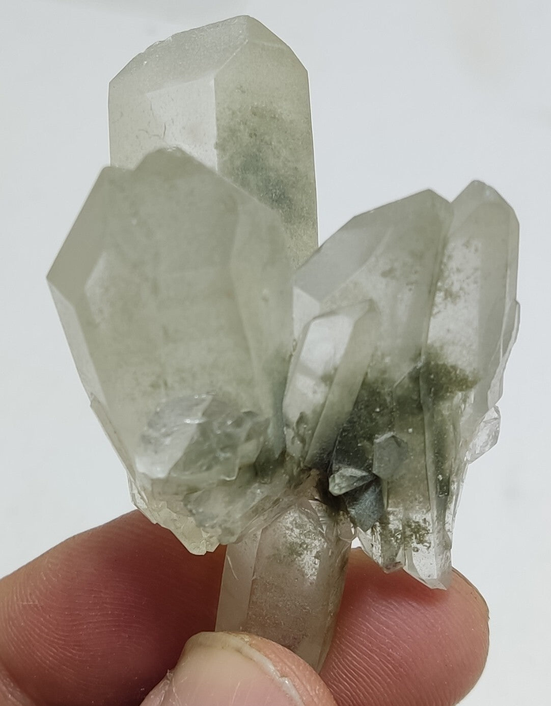 A very Aesthetic Natural beautifully terminated Chlorite Quartz cluster 42 grams