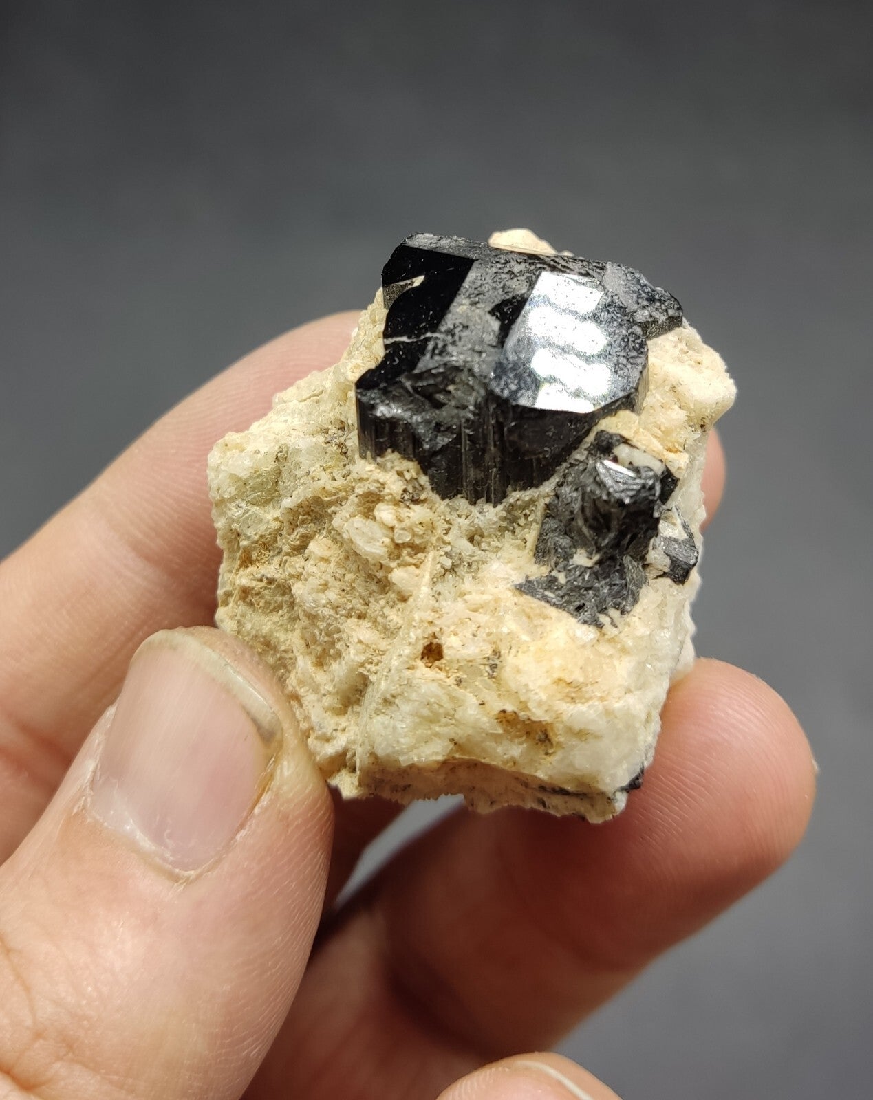 An aesthetic specimen of black tourmaline crystal on matrix 21 grams