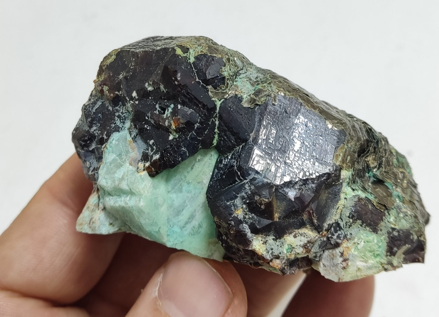 233 grams Aesthetic specimen Garnets cluster andradite garnets natural garnets