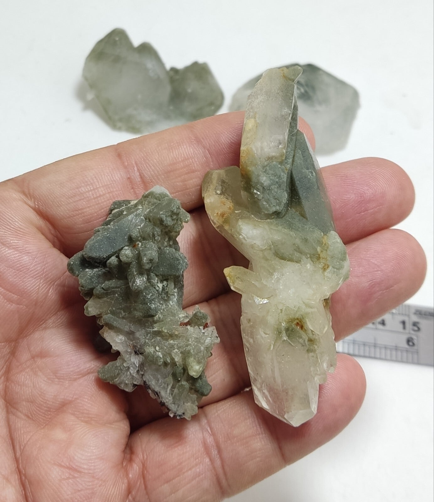An Aesthetic terminated chlorite Quartz clusters lot of  4 specimens