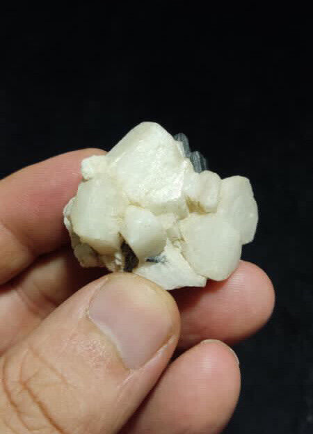 Tourmaline on albite