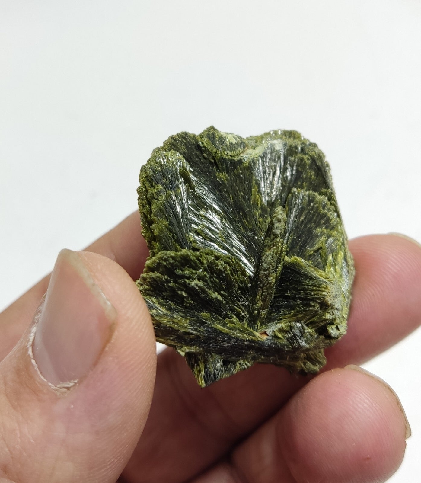 An aesthetic specimen of epidote crystal spray type 31 grams