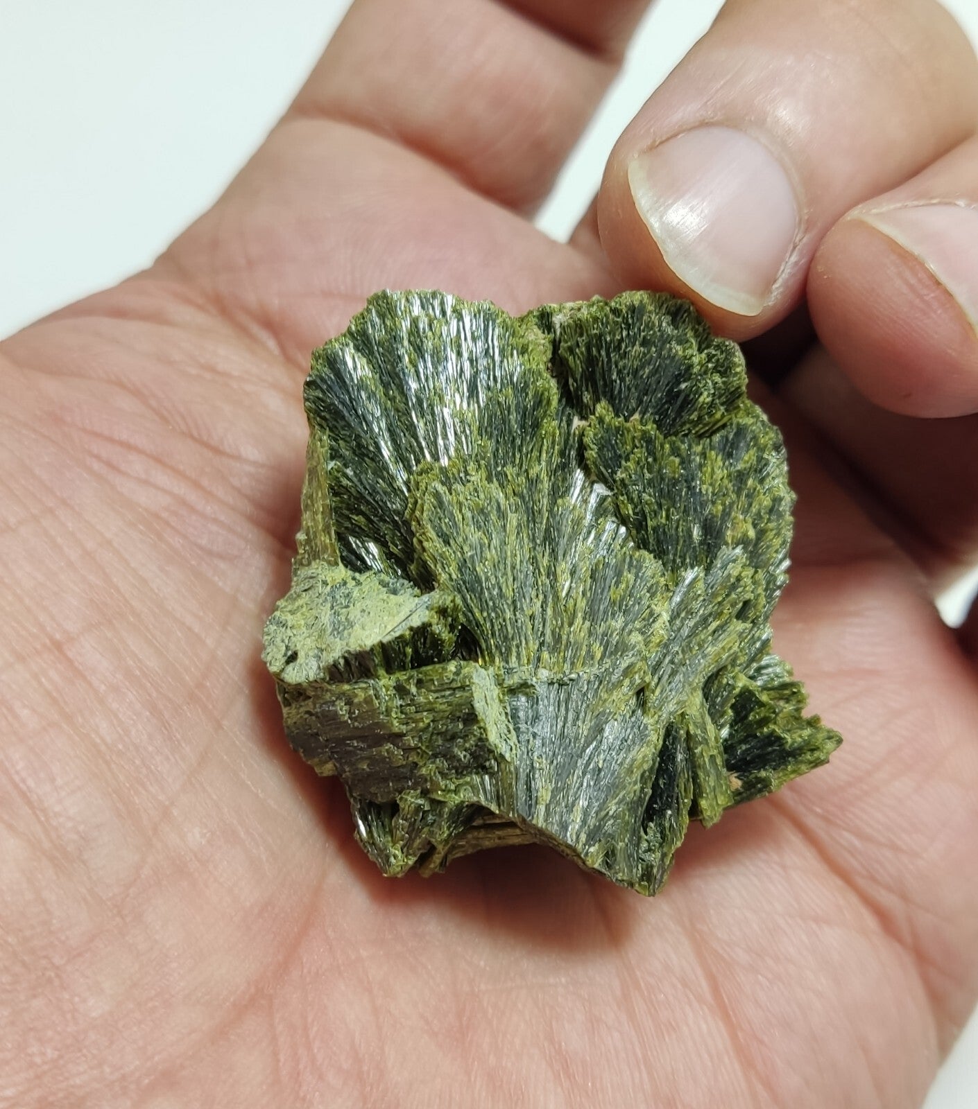 An aesthetic specimen of epidote crystal spray type 31 grams