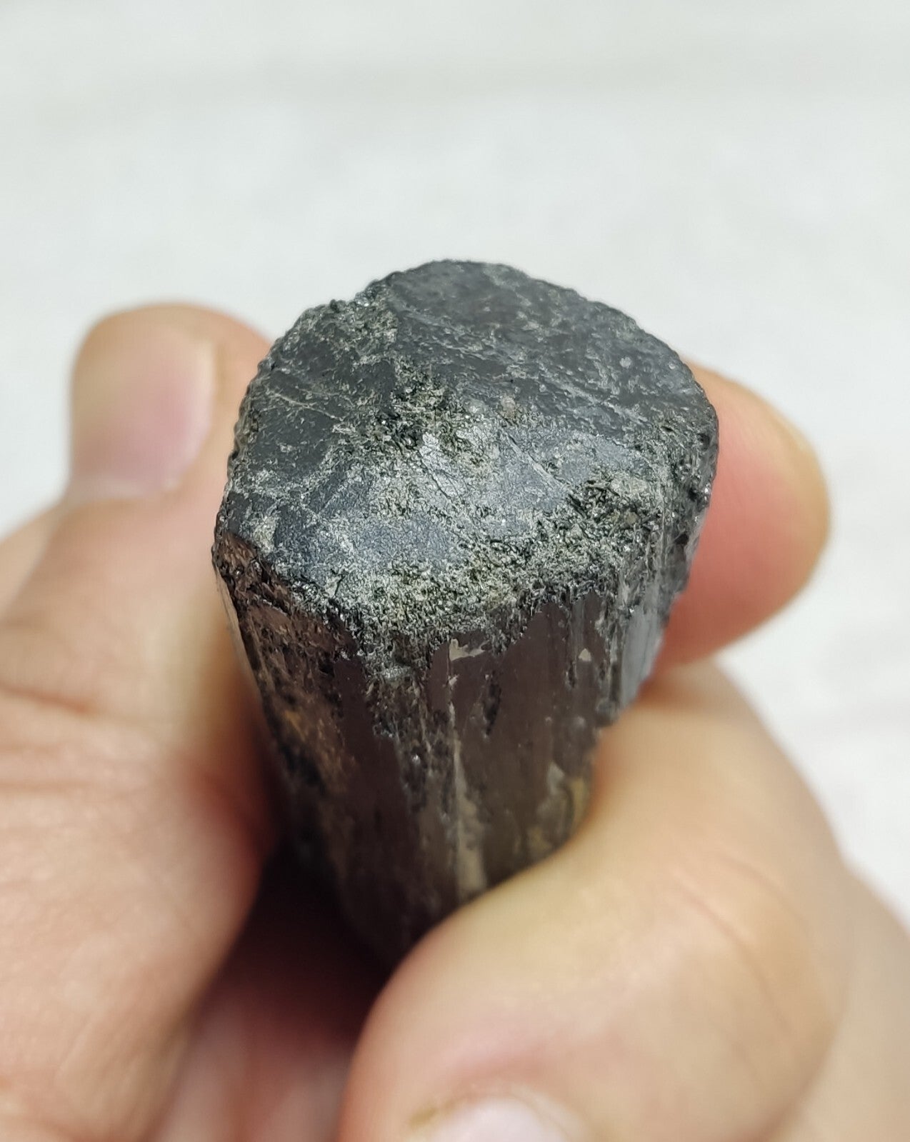 An amazing specimen of terminated black tourmaline 46 grams