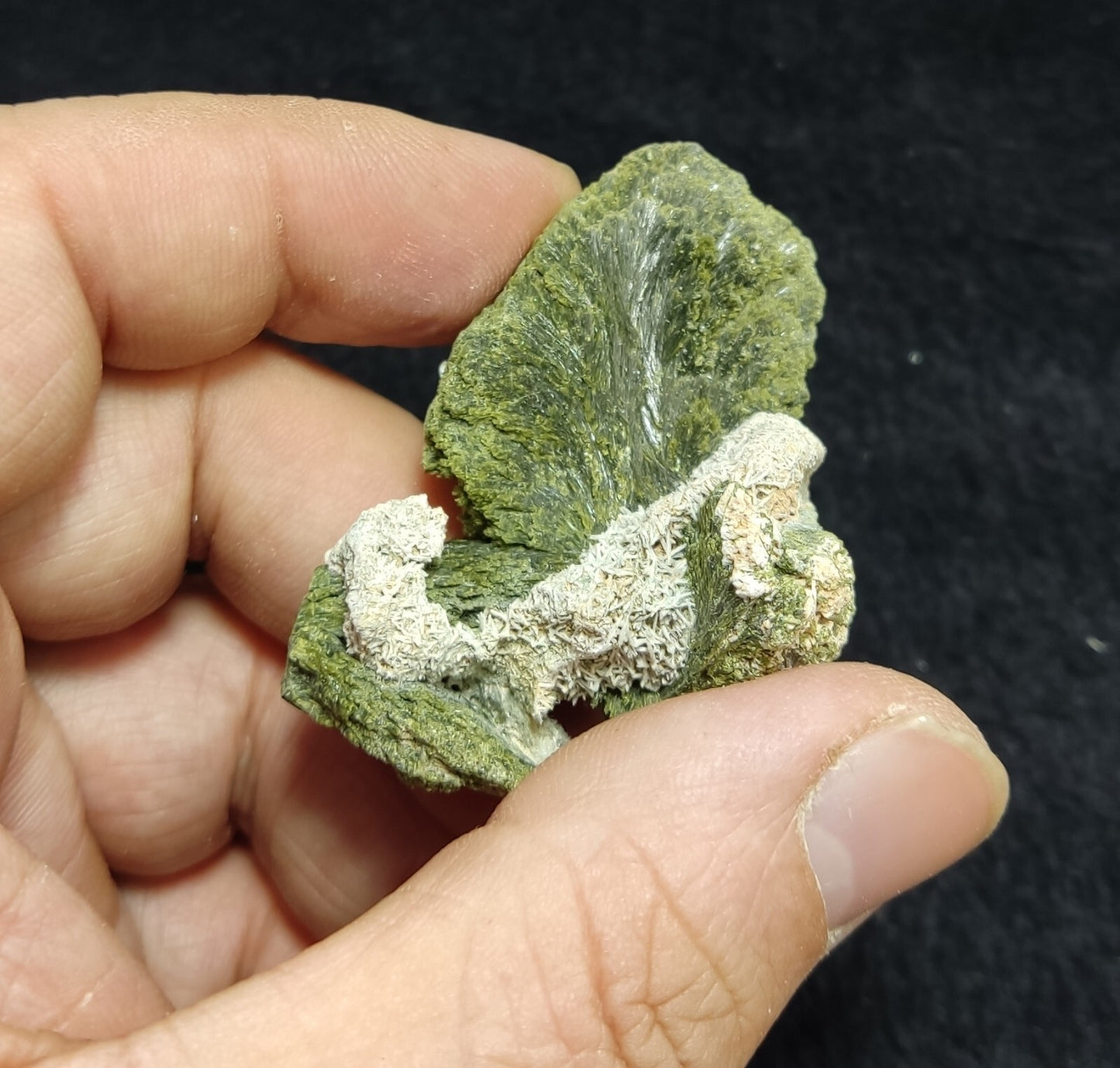 An aesthetic specimen of epidote crystal spray type 34 grams