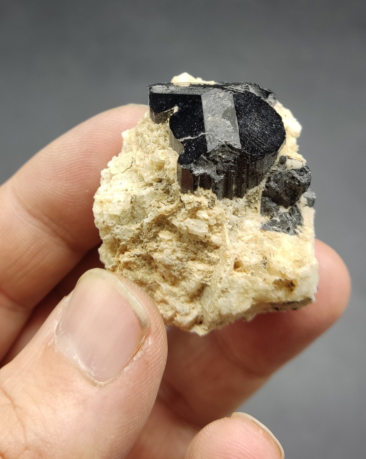 An aesthetic specimen of black tourmaline crystal on matrix 21 grams