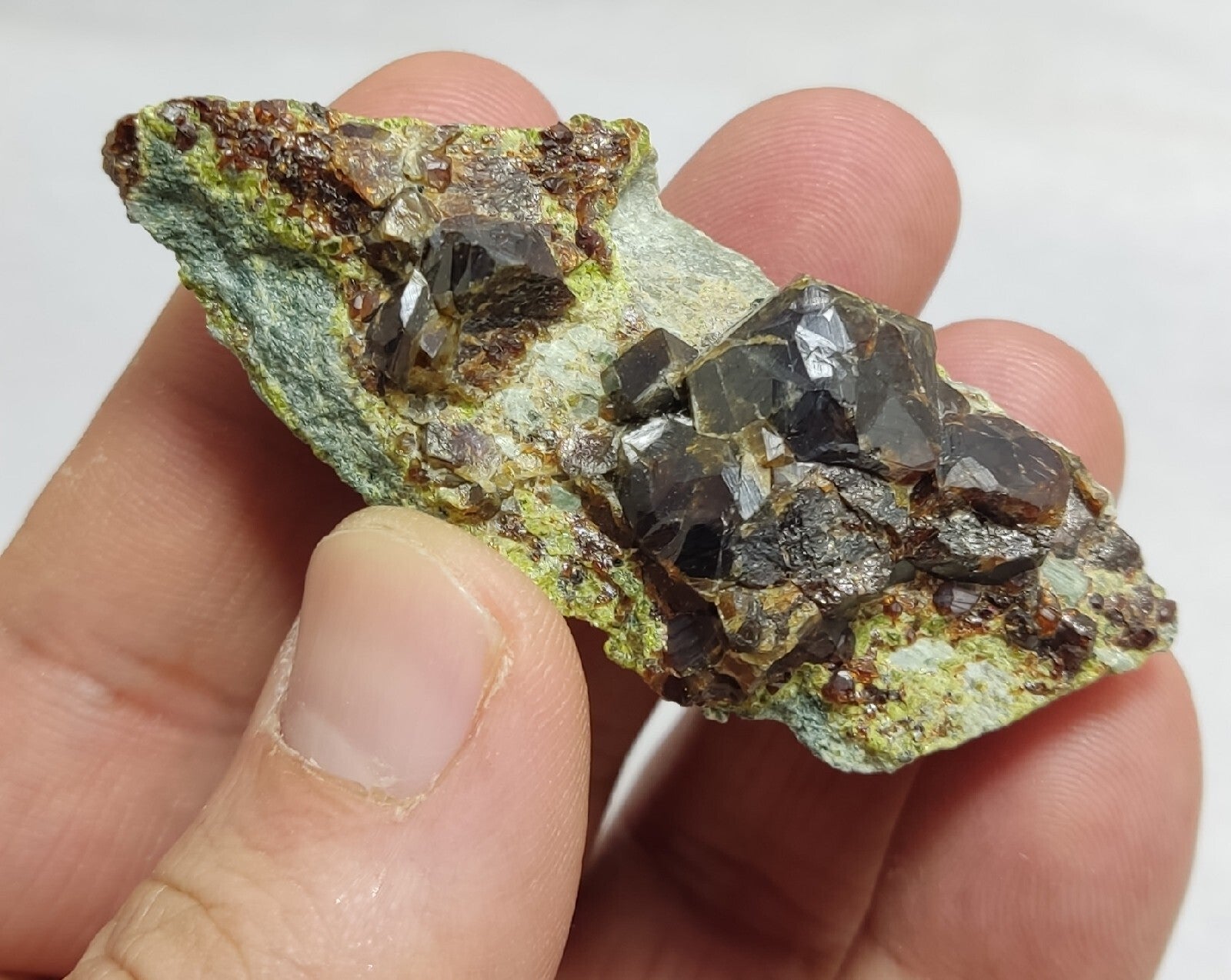 Andradite garnets on matrix with epidote 43 grams