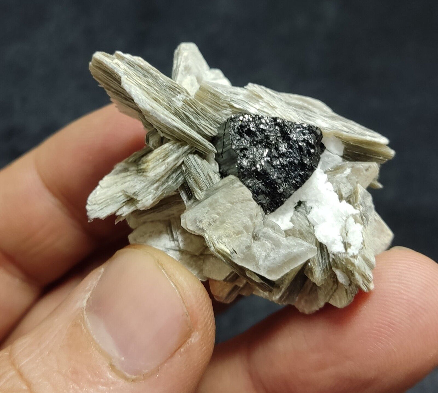An Aesthetic specimen of muscovite with Tourmaline and albite 27 grams