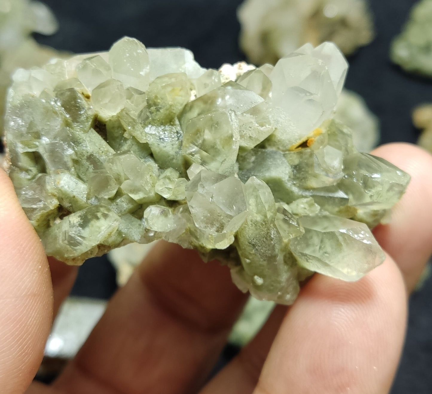 480 grams Chlorite Quartz crystals