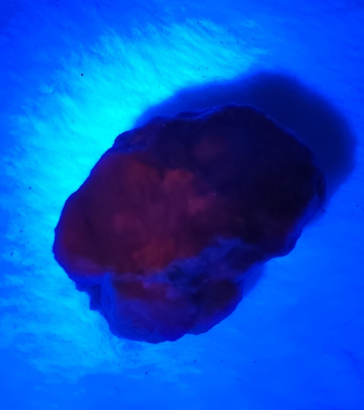 An amazing specimen of fluorescent rough hackmanite chunk 51 grams