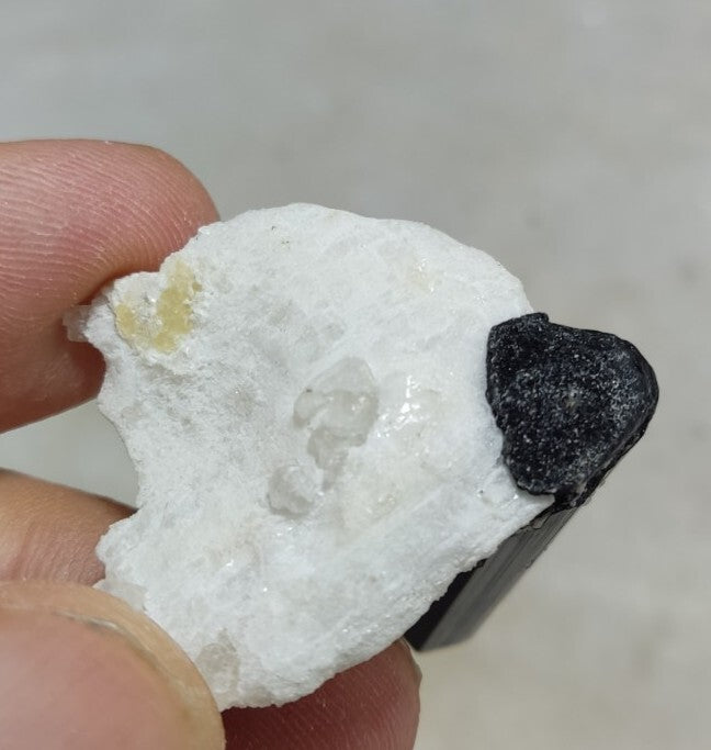 Black Tourmalines Crystal on Matrix of Albite 24 grams