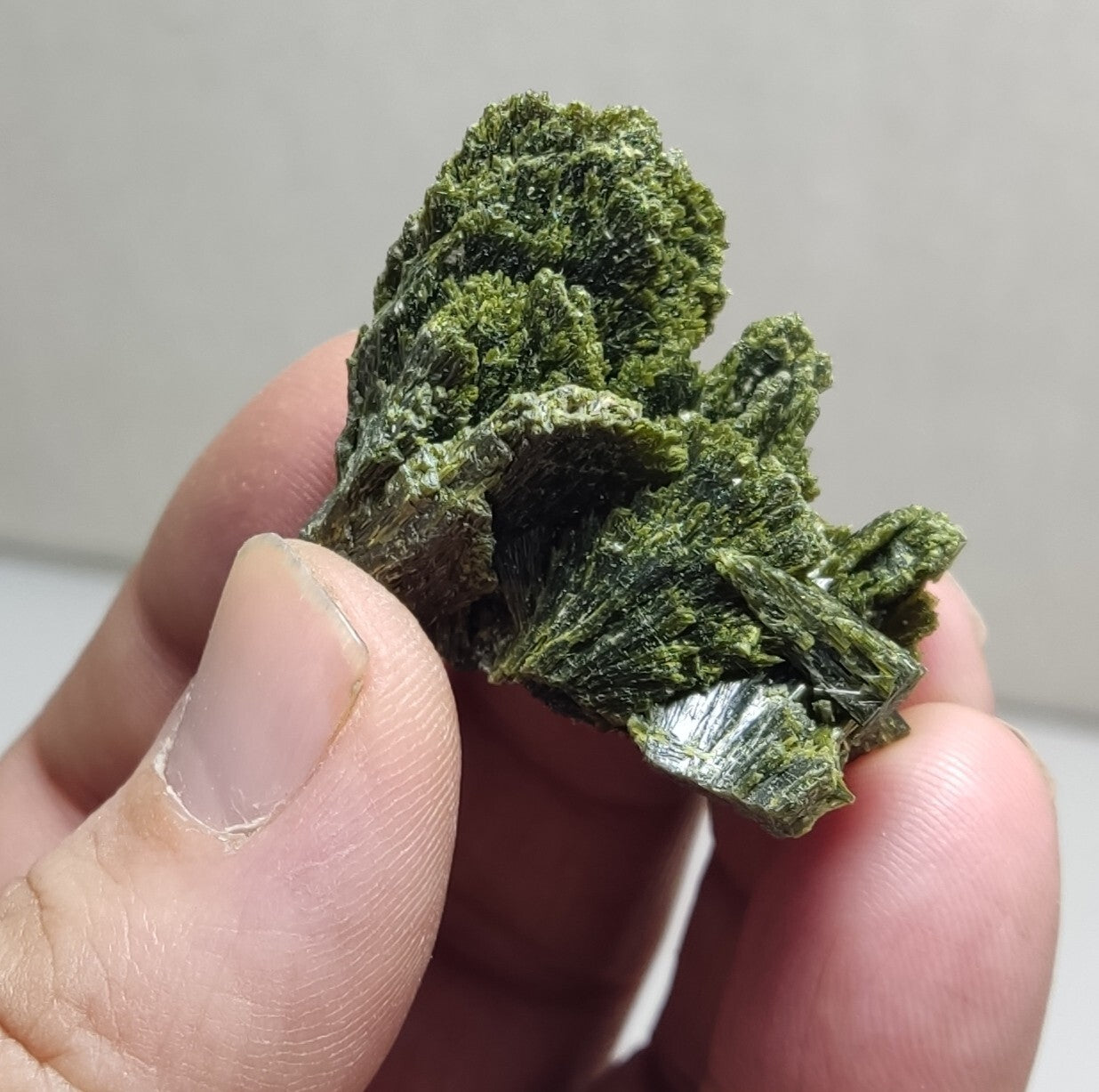 An aesthetic specimen of epidote crystal spray type 24 grams