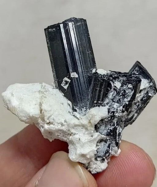Natural Terminated Black Tourmaline Crystal Cluster with Albite 24 grams