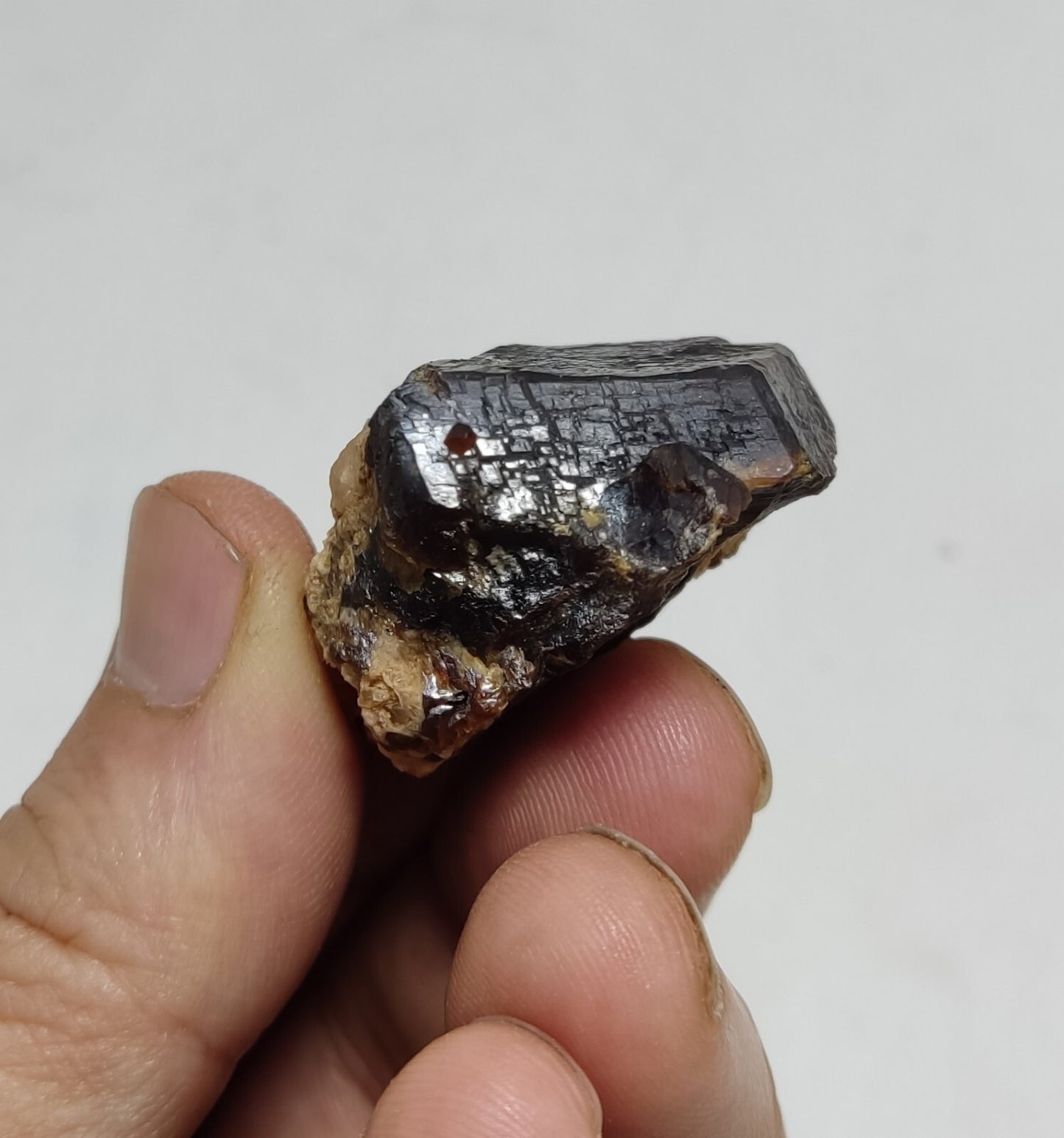 33 grams Aesthetic specimen Garnets cluster andradite garnets natural garnets