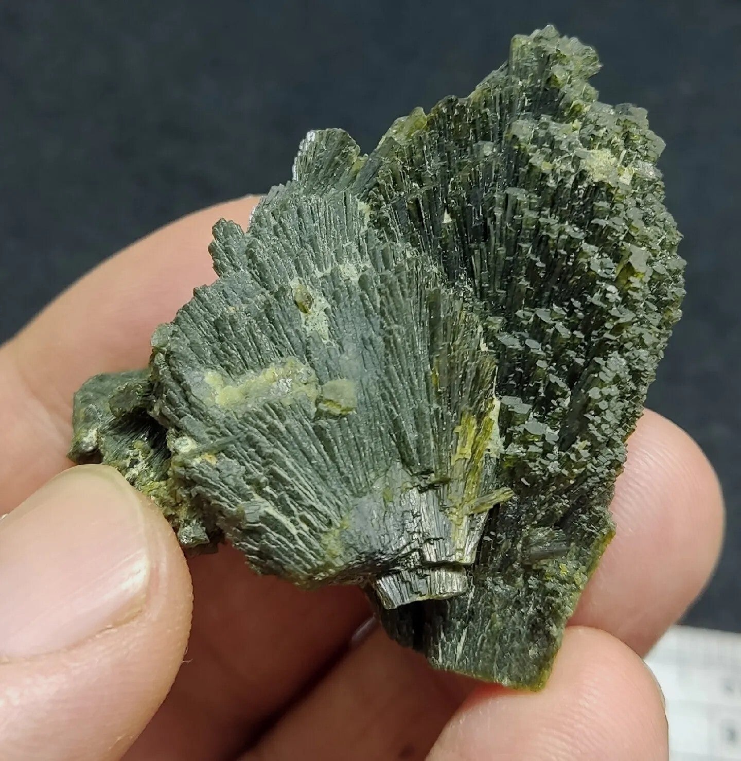 Single natural Epidote Crystal spray formations 39 grams
