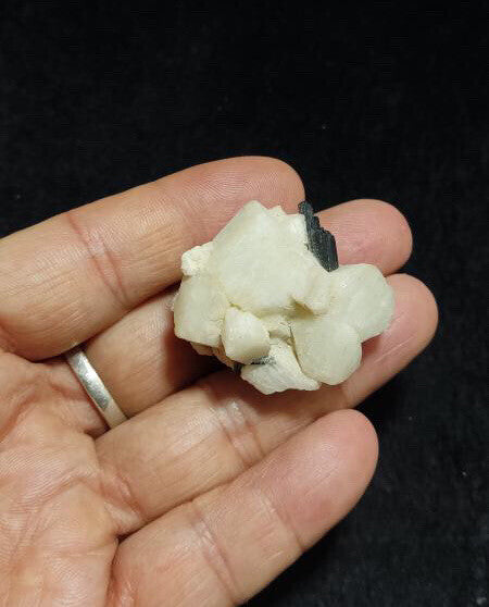 Tourmaline on albite