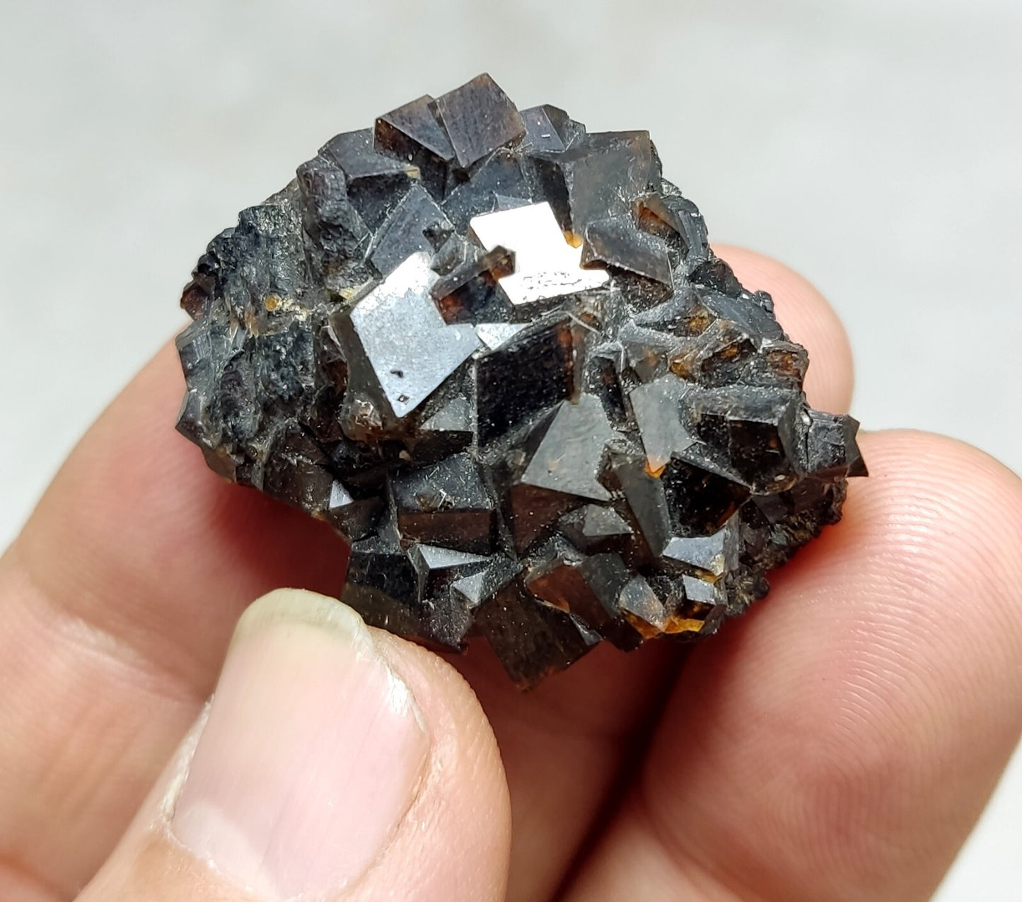 An Aesthetic specimen of andradite garnets on matrix 28 grams