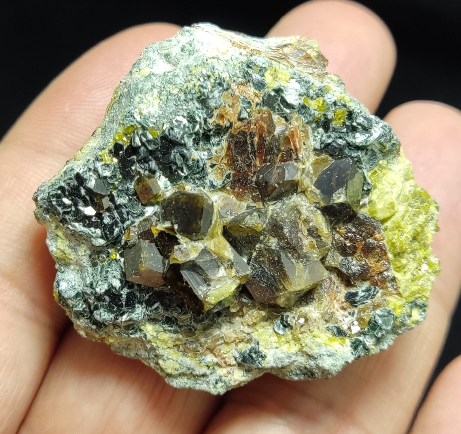 Andradite garnets on matrix with epidote and clinochlore 56 grams