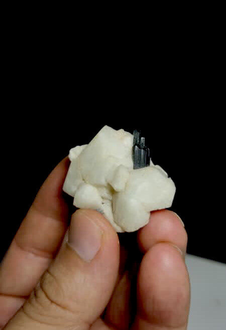 Tourmaline on albite