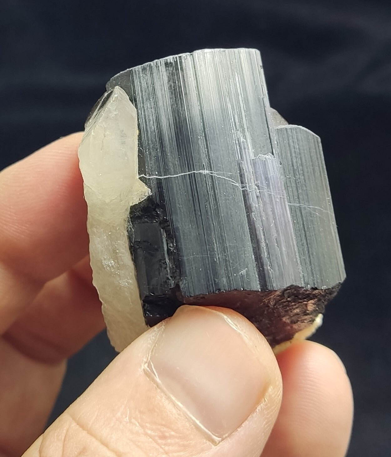 An Aesthetic specimen of black Tourmaline crystal with quartz 87 grams