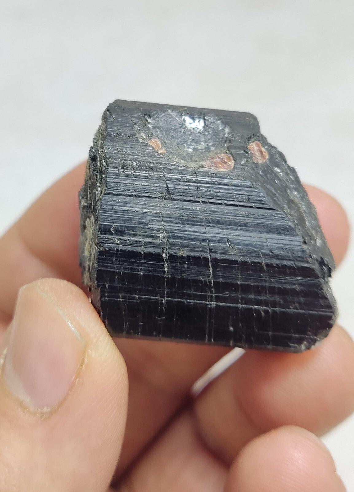 An amazing specimen of terminated black tourmaline 62 grams