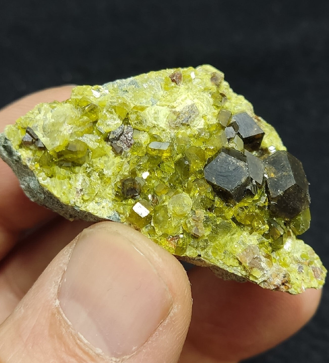 Andradite Garnets Crystals on matrix with Epidotes 40 grams