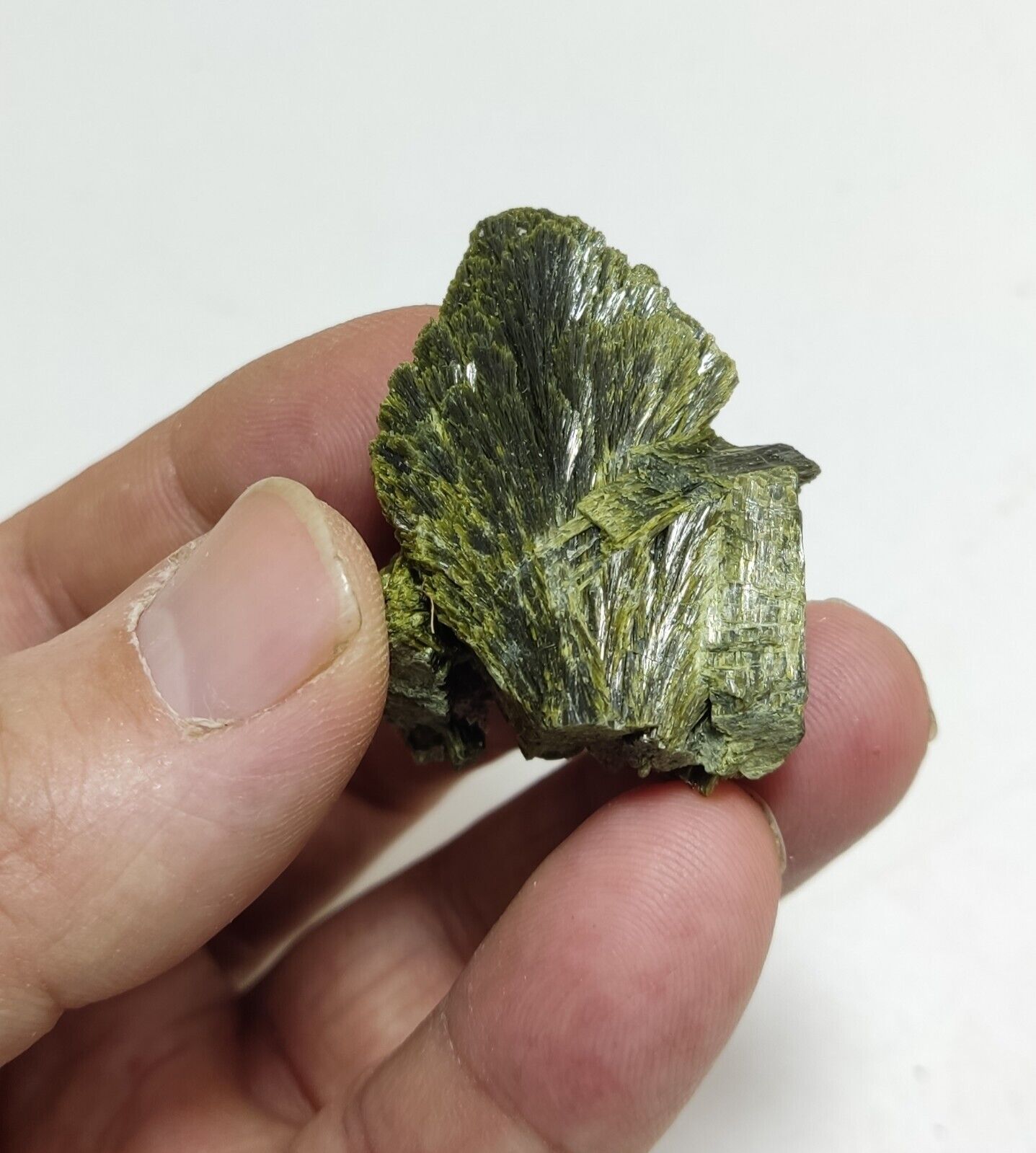 An aesthetic specimen of epidote crystal spray type 27 grams