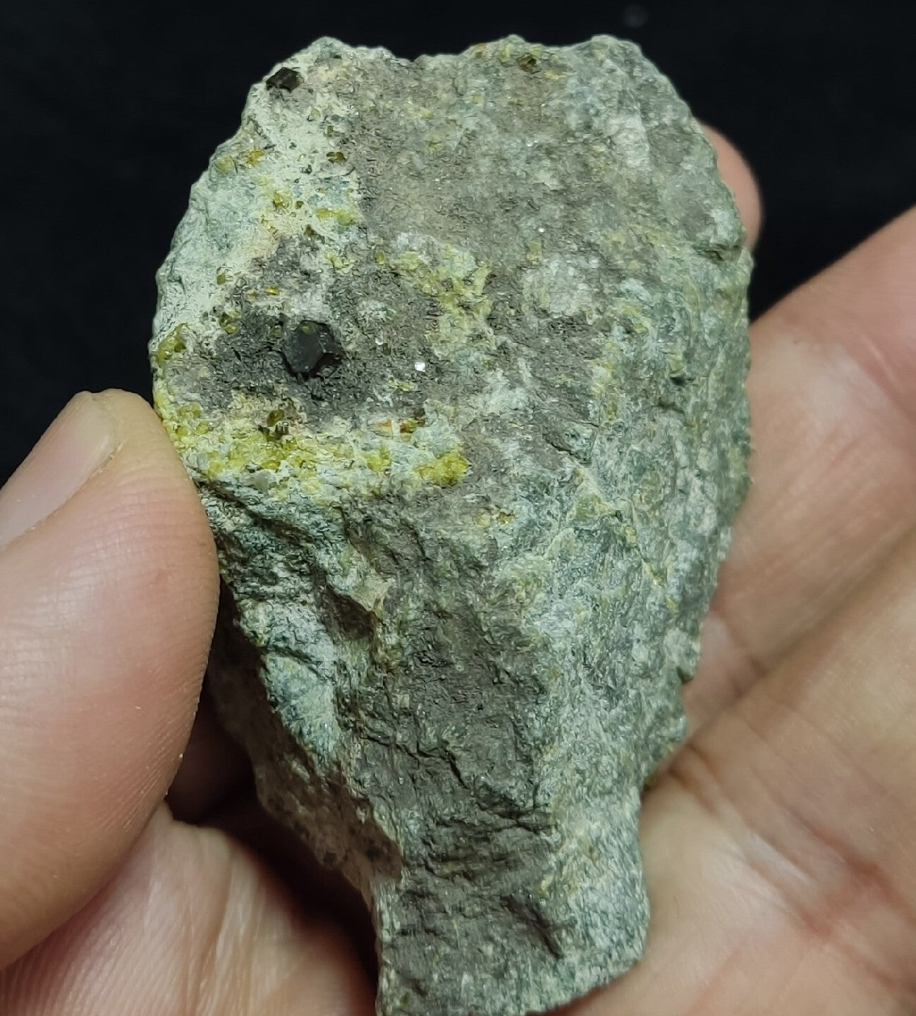 Andradite Garnets Crystals on matrix with Epidotes and Diopside 80 grams