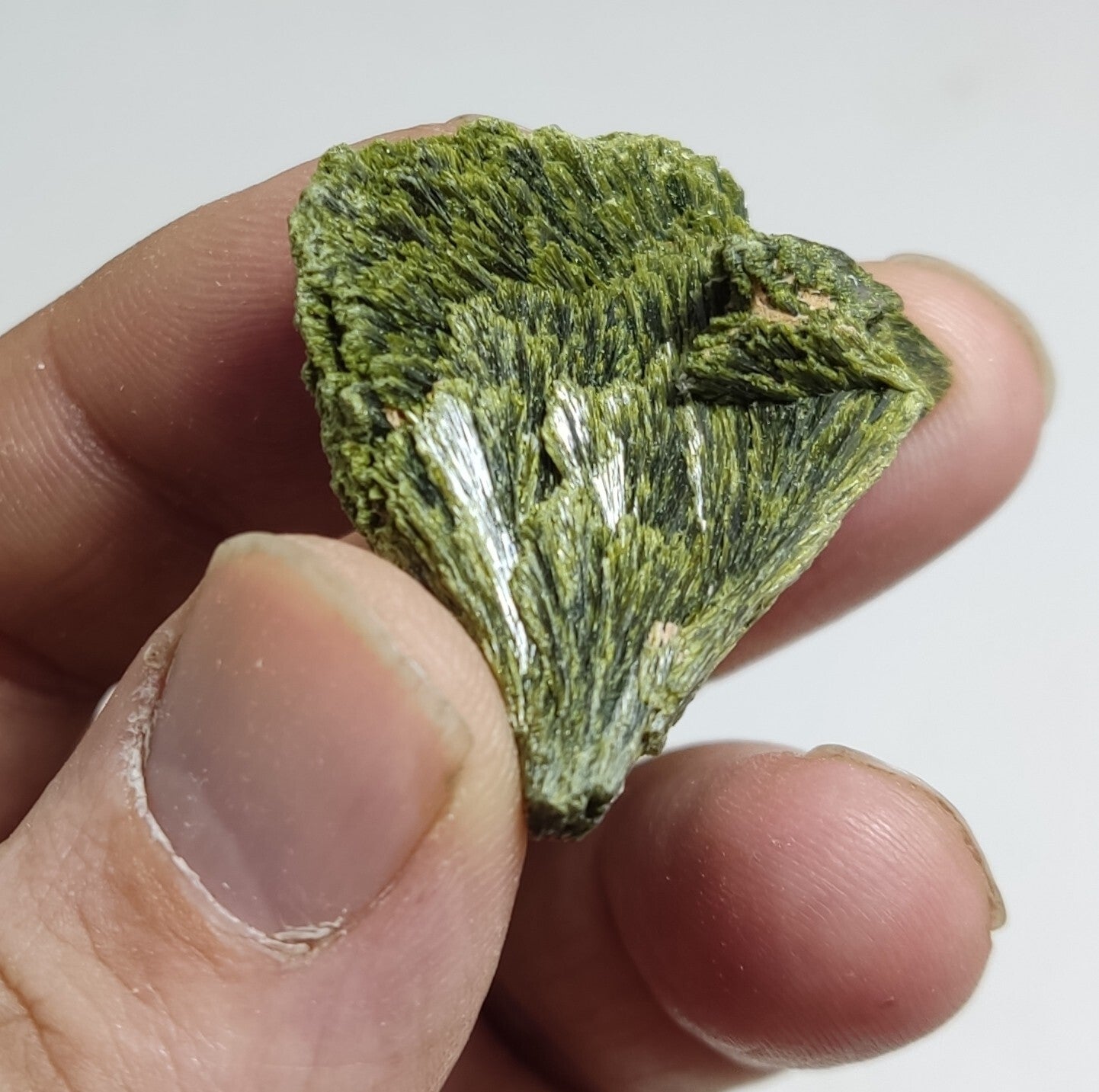 An aesthetic specimen of epidote crystal spray type 22 grams