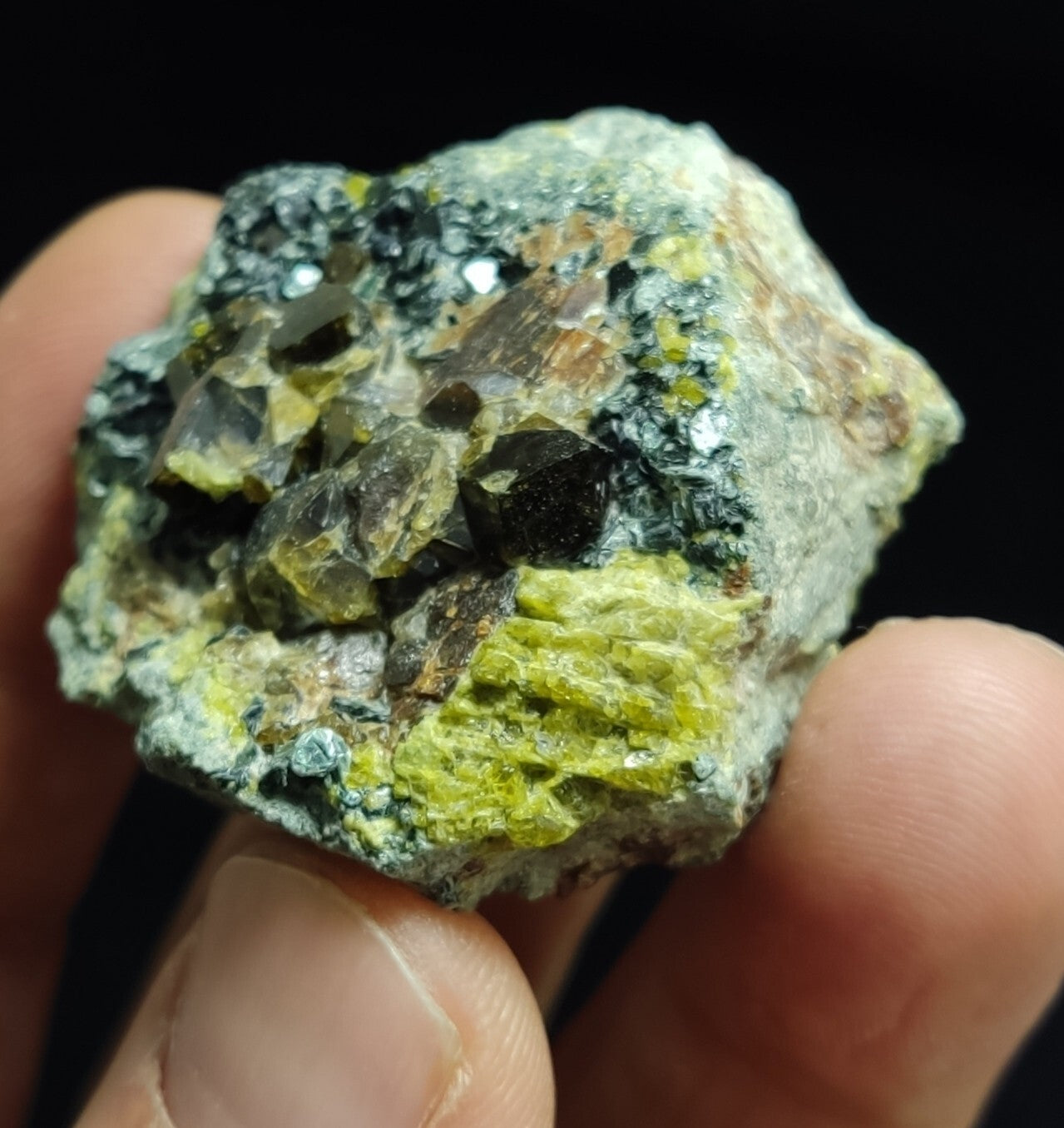 Andradite garnets on matrix with epidote and clinochlore 56 grams