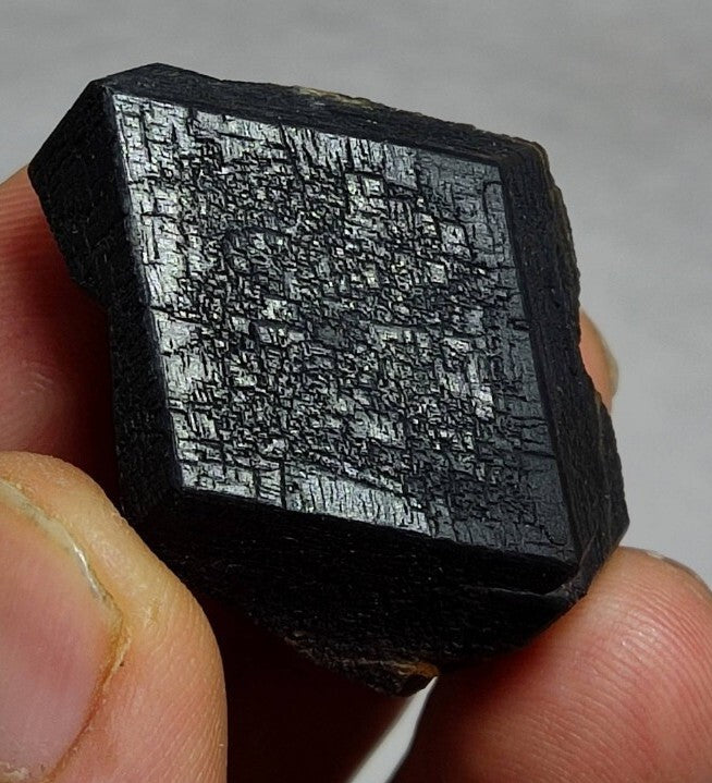 Garnet variety andradite crystal  specimen 41 grams