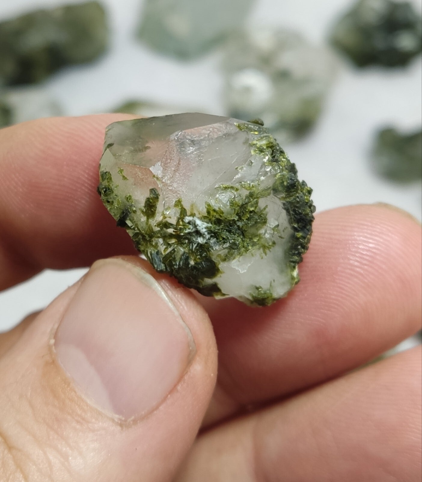 260 grams epidote Quartz crystals