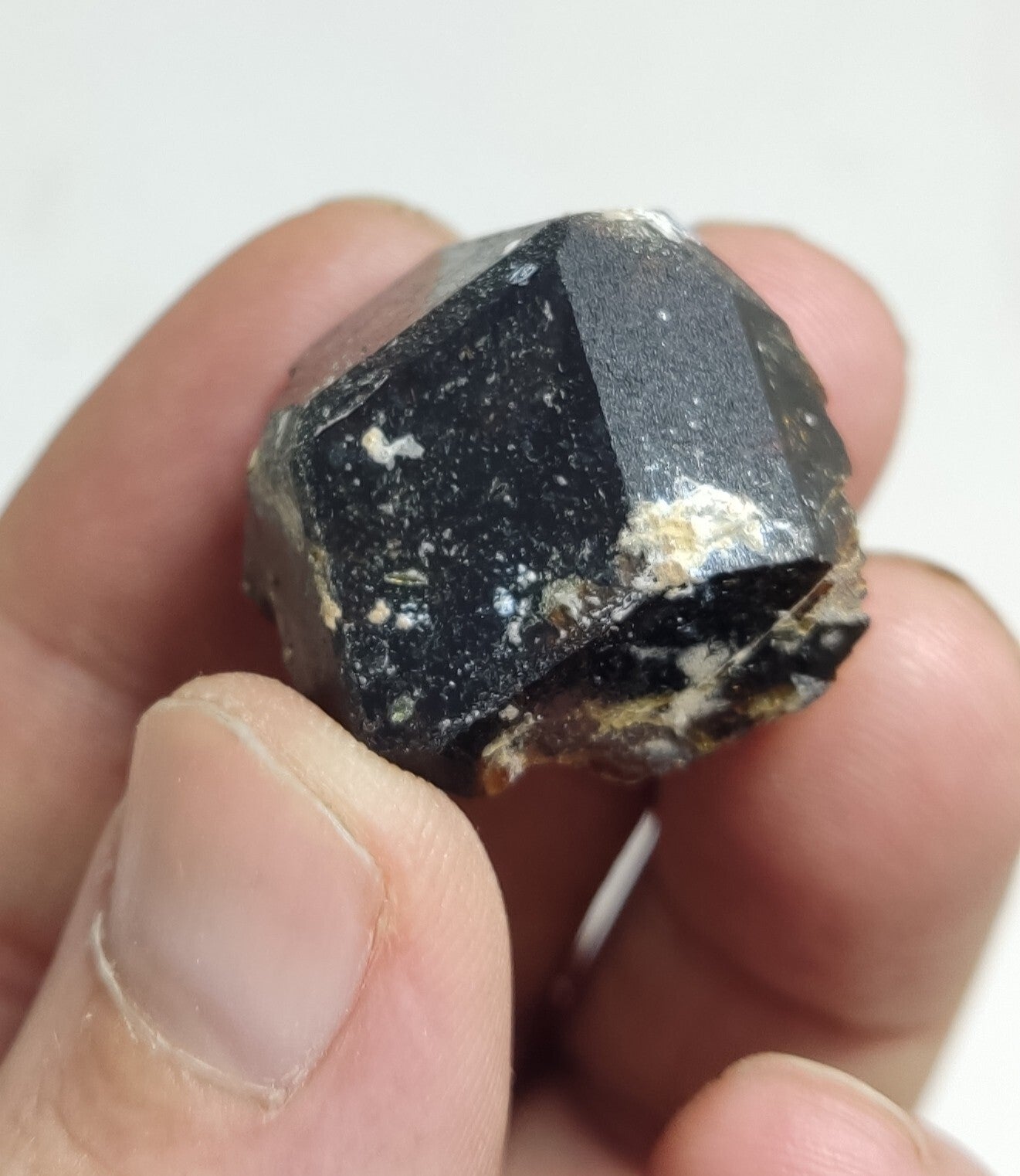 An Aesthetic terminated specimen of andradite crystal 25 grams