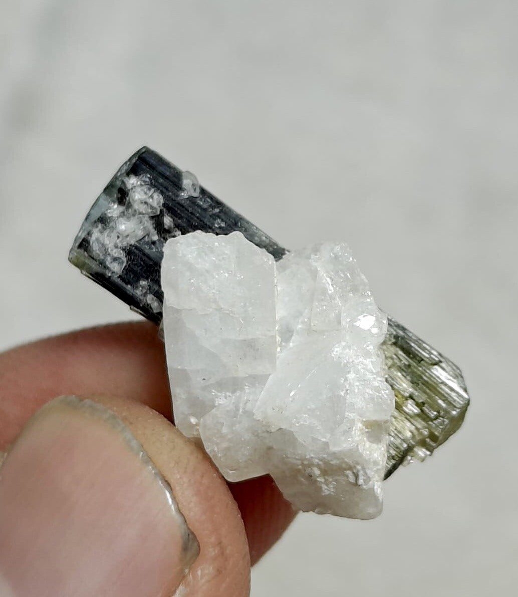 33 Carats Natural Green Cap Tourmaline Crystal With Albite.