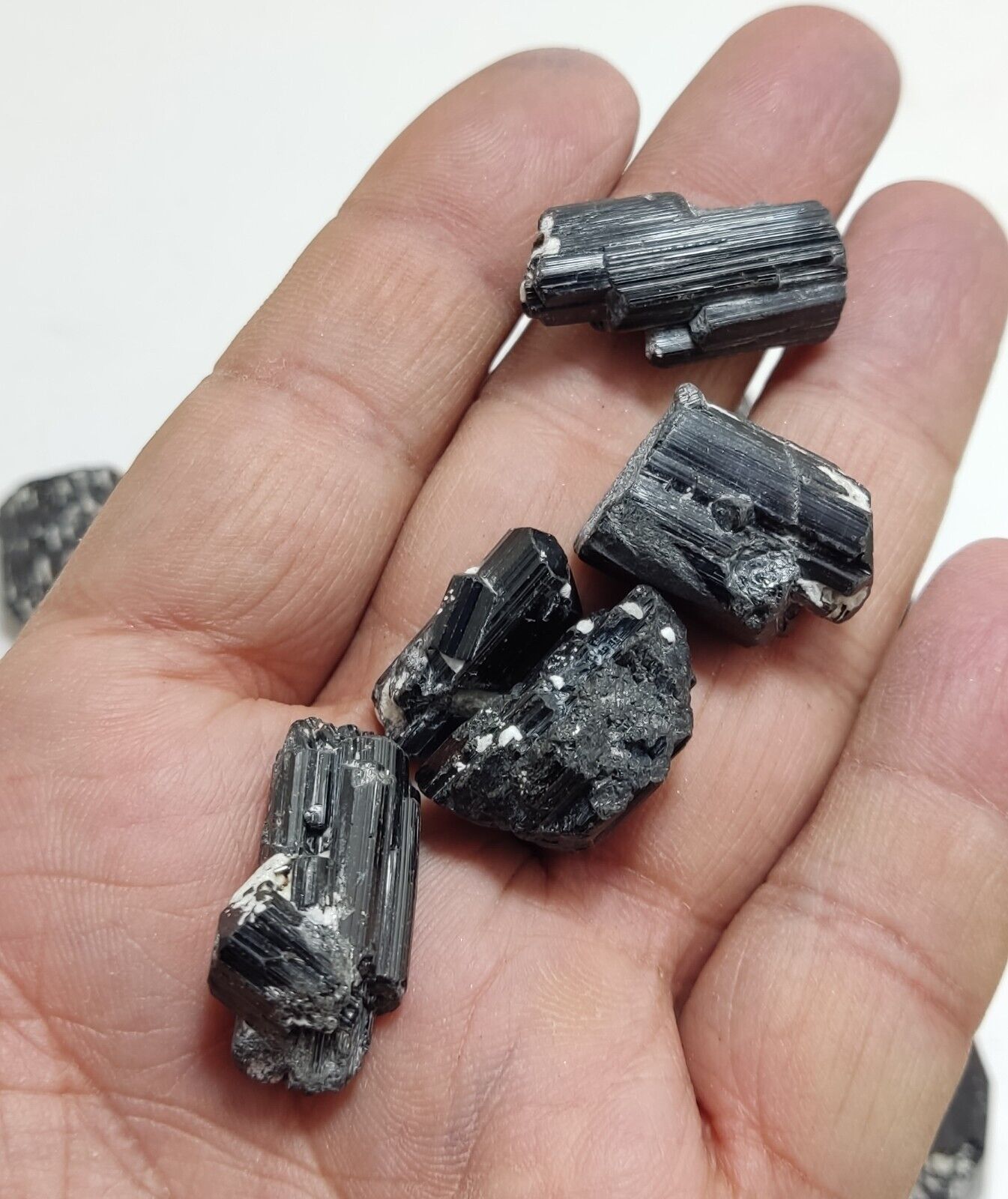 260 grams black Tourmaline crystals