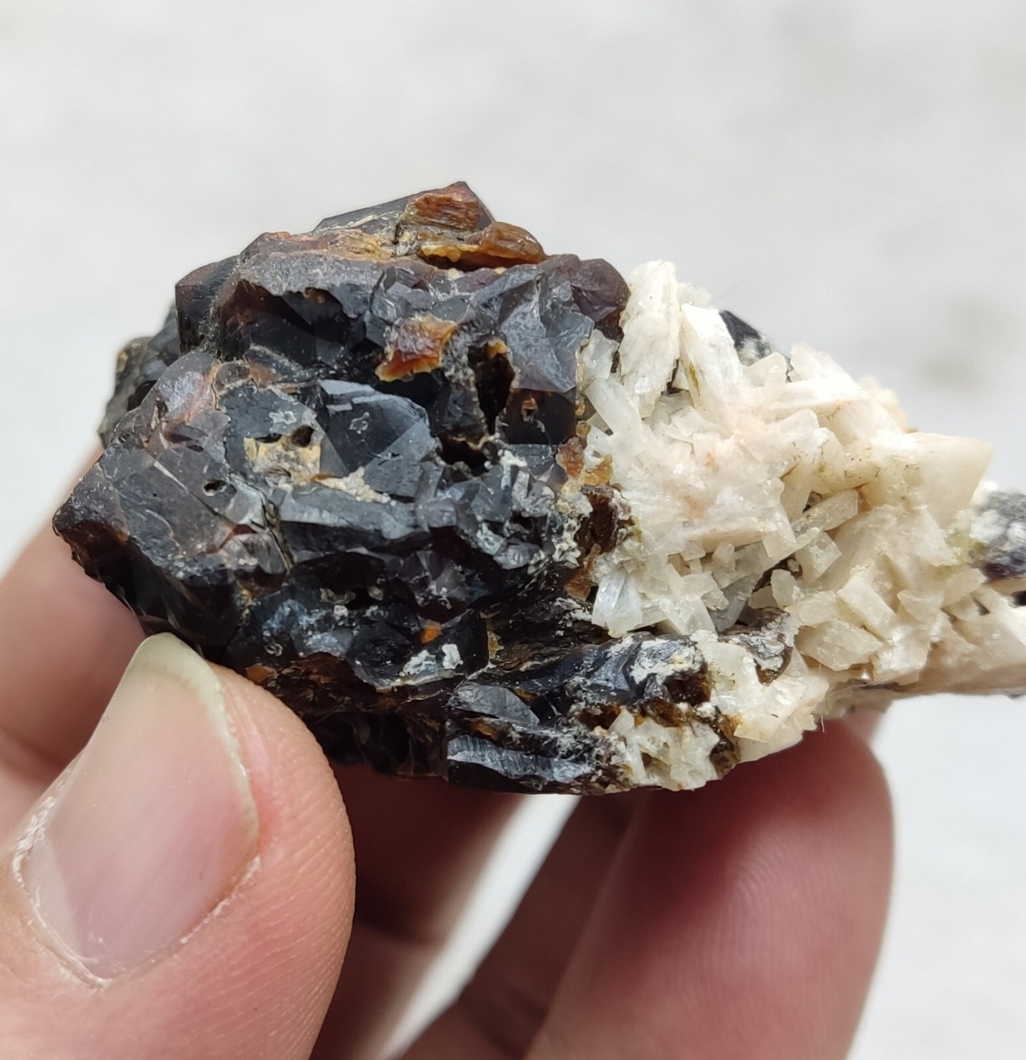An Aesthetic specimen of andradite garnets on matrix 120 grams