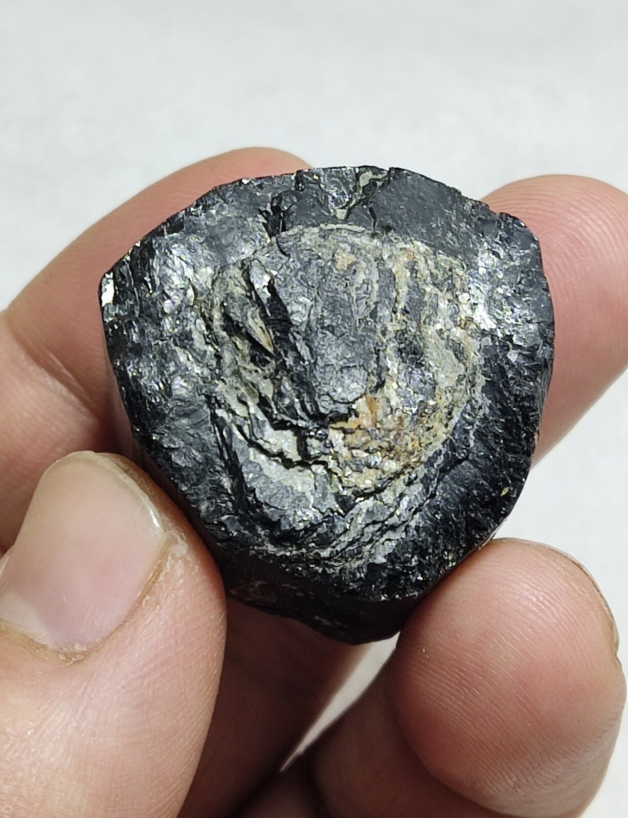 An amazing specimen of terminated black tourmaline 62 grams