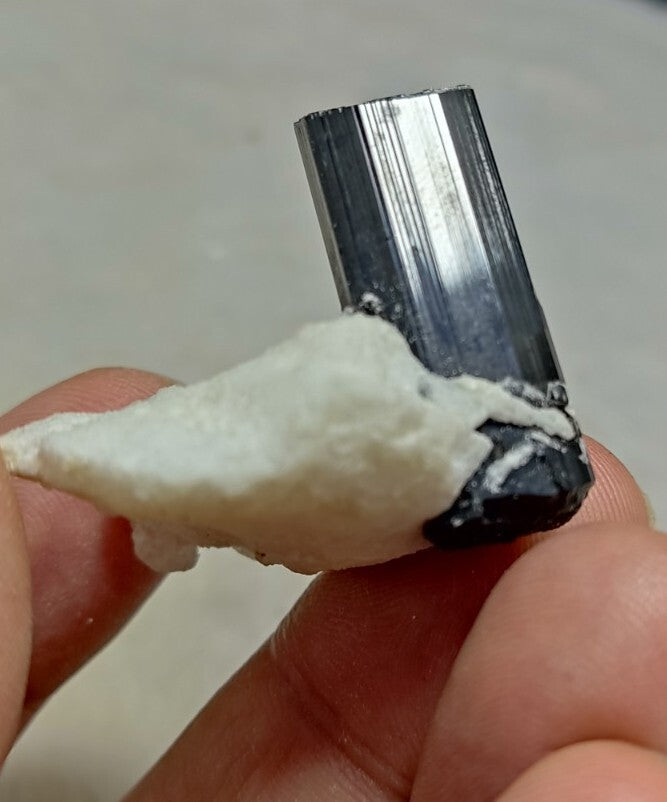Black Tourmalines Crystal on Matrix of Albite 24 grams