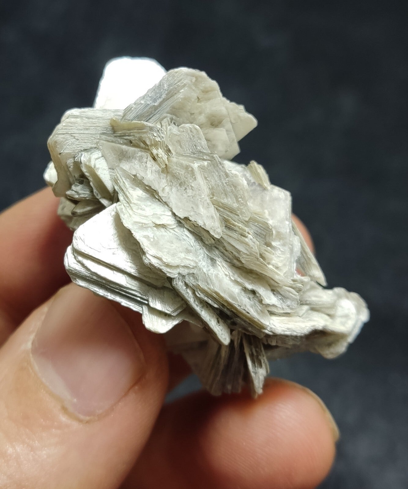 An Aesthetic specimen of muscovite with Tourmaline and albite 27 grams
