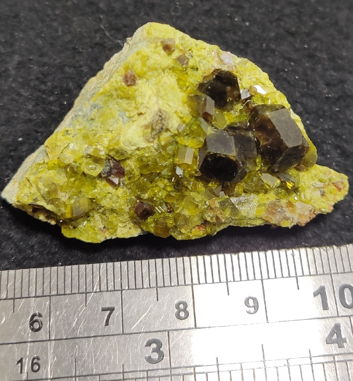 Andradite Garnets Crystals on matrix with Epidotes 40 grams