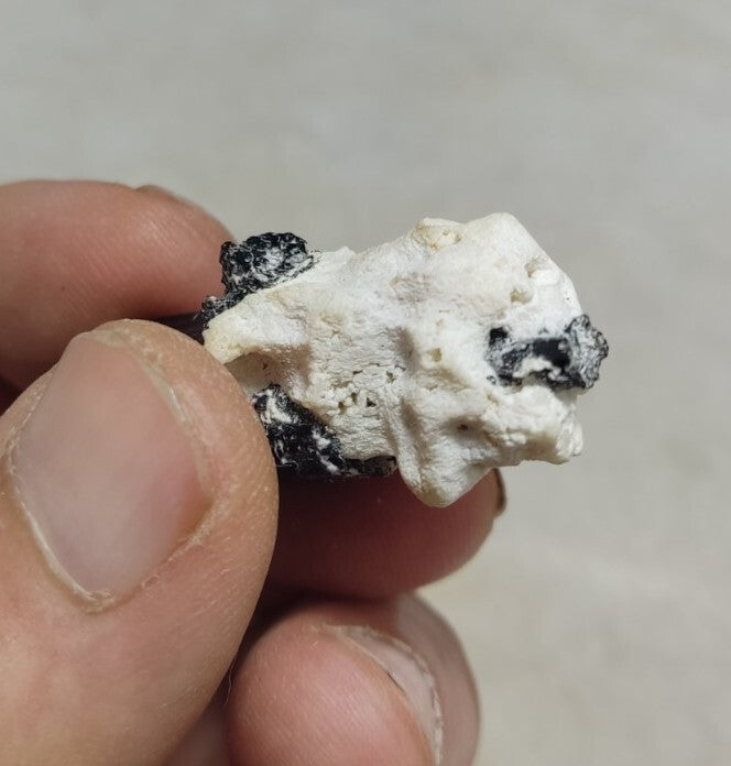 Black Tourmaline Crystal with Albite Feldspar 14 grams