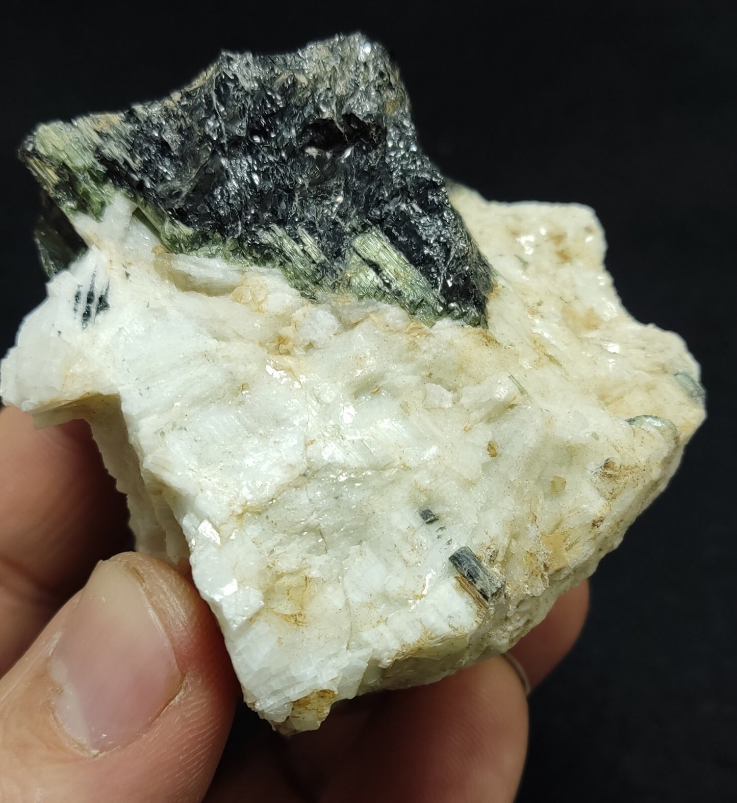 An Aesthetic specimen of black/green Tourmaline on matrix with Albite 169 grams
