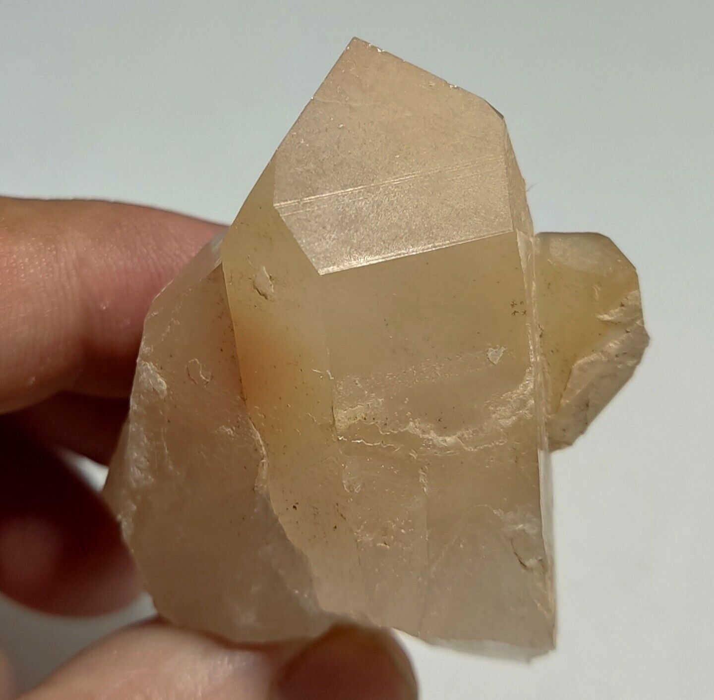 Amphibole included Quartz crystal 88 Grams