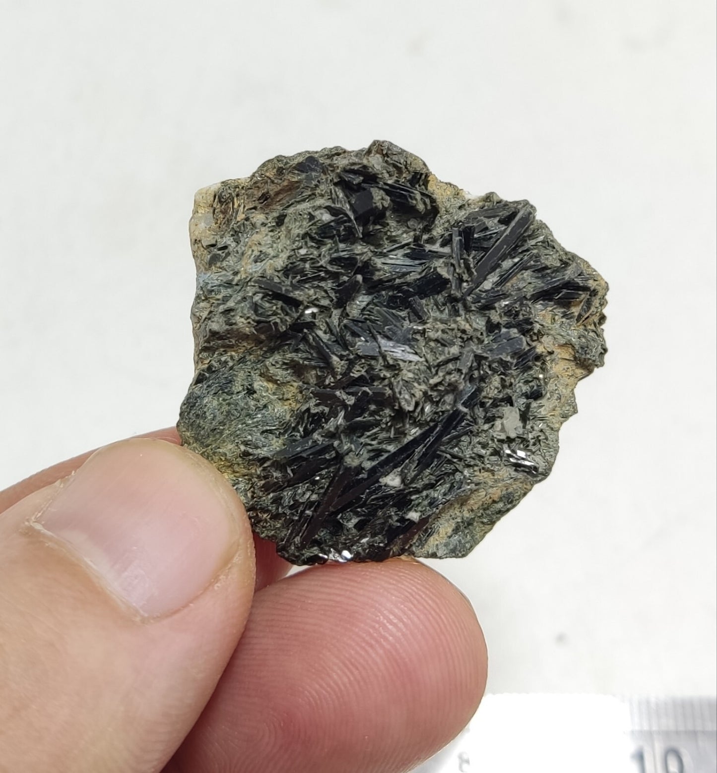 An aesthetic specimen of terminated aegirine crystals on matrix 26 grams