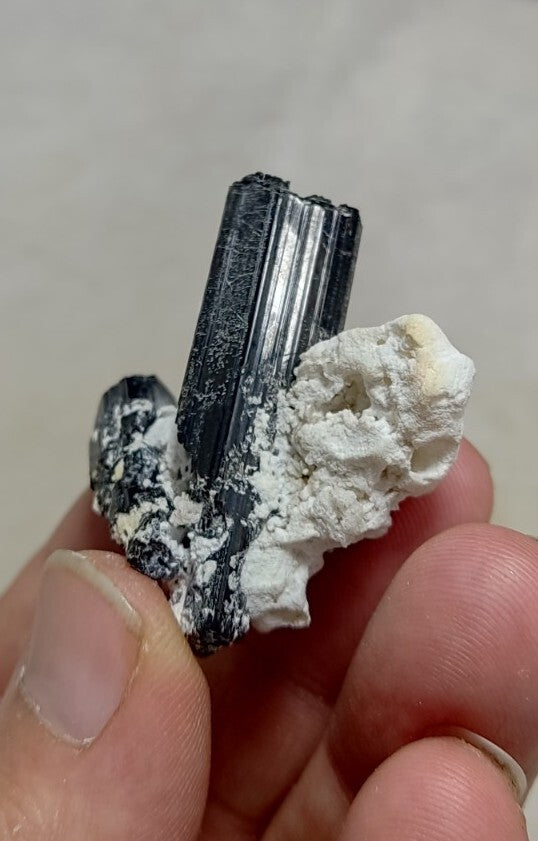 Natural Terminated Black Tourmaline Crystal Cluster with Albite 24 grams