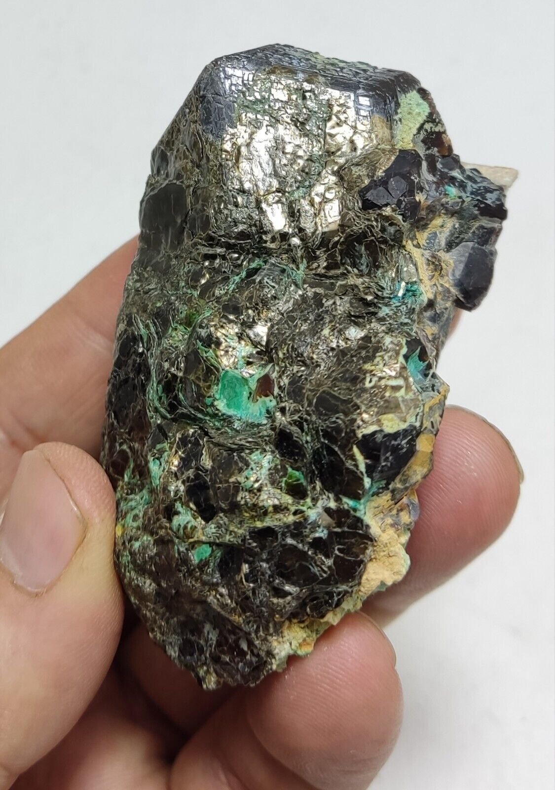 233 grams Aesthetic specimen Garnets cluster andradite garnets natural garnets