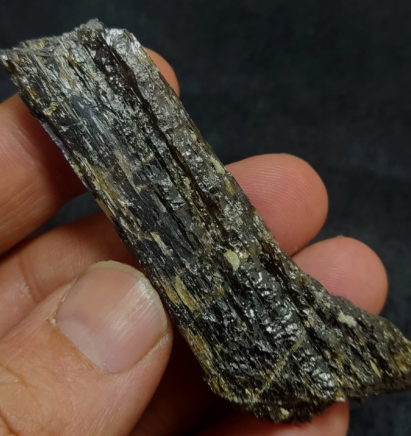 Single etched Epidote Crystal 34 grams