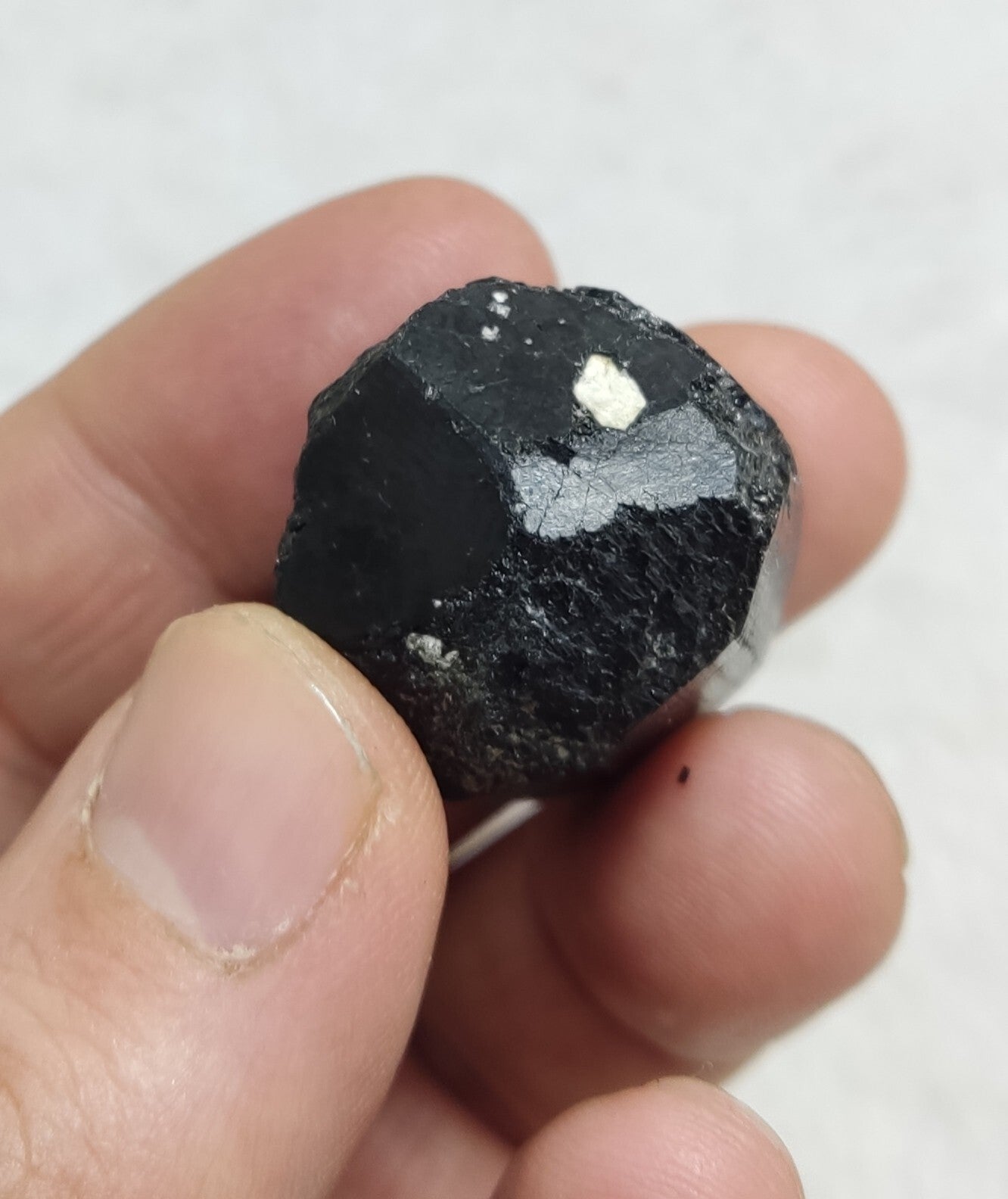 An amazing specimen of terminated black tourmaline 38 grams